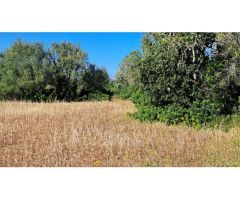 FINCA RUSTICA PARA CONSTRIUR SU CASA DE CAMPO