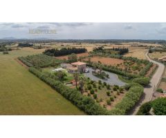 Chalet independiente en venta en Muro