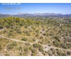 PROYECTO EXCLUSIVO EN SON FE, ALCUDIA: SOLAR CON VISTAS AL MAR