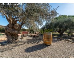 Vive la magia de Mallorca en esta finca rústica.