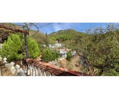 ESPECTACULAR FINCA CON BUNGALOWS Y PISCINA. IDEAL INVERSION
