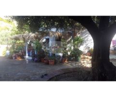 ESPECTACULAR FINCA CON BUNGALOWS Y PISCINA. IDEAL INVERSION