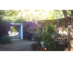 ESPECTACULAR FINCA CON BUNGALOWS Y PISCINA. IDEAL INVERSION