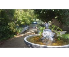 ESPECTACULAR FINCA CON BUNGALOWS Y PISCINA. IDEAL INVERSION