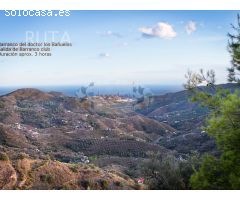 ESPECTACULAR FINCA CON BUNGALOWS Y PISCINA. IDEAL INVERSION