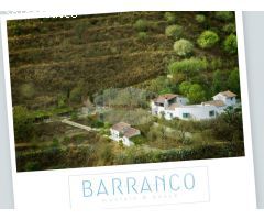 ESPECTACULAR FINCA CON BUNGALOWS Y PISCINA. IDEAL INVERSION