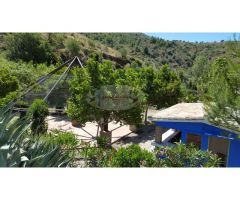 ESPECTACULAR FINCA CON BUNGALOWS Y PISCINA. IDEAL INVERSION