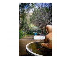 ESPECTACULAR FINCA CON BUNGALOWS Y PISCINA. IDEAL INVERSION