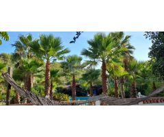 ESPECTACULAR FINCA CON BUNGALOWS Y PISCINA. IDEAL INVERSION