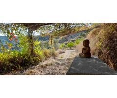 ESPECTACULAR FINCA CON BUNGALOWS Y PISCINA. IDEAL INVERSION