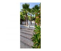 ESPECTACULAR FINCA CON BUNGALOWS Y PISCINA. IDEAL INVERSION