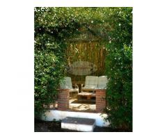 ESPECTACULAR FINCA CON BUNGALOWS Y PISCINA. IDEAL INVERSION