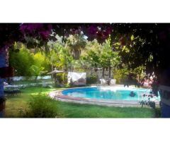 ESPECTACULAR FINCA CON BUNGALOWS Y PISCINA. IDEAL INVERSION
