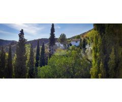 ESPECTACULAR FINCA CON BUNGALOWS Y PISCINA. IDEAL INVERSION