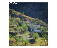 ESPECTACULAR FINCA CON BUNGALOWS Y PISCINA. IDEAL INVERSION