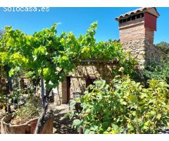 ESTUPENDA FINCA EN SAN VICENTE DE ALCANTARA