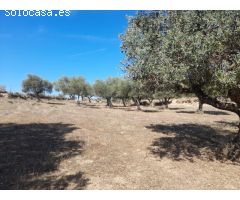 ESTUPENDA FINCA EN SAN VICENTE DE ALCANTARA