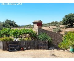ESTUPENDA FINCA EN SAN VICENTE DE ALCANTARA