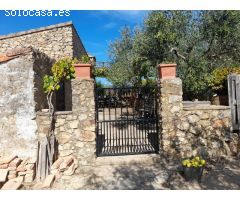ESTUPENDA FINCA EN SAN VICENTE DE ALCANTARA