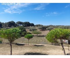ESTUPENDA FINCA EN SAN VICENTE DE ALCANTARA