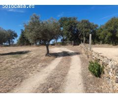 ESTUPENDA FINCA EN SAN VICENTE DE ALCANTARA