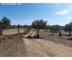ESTUPENDA FINCA EN SAN VICENTE DE ALCANTARA