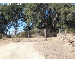 ESTUPENDA FINCA EN SAN VICENTE DE ALCANTARA
