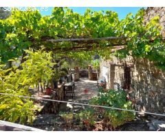ESTUPENDA FINCA EN SAN VICENTE DE ALCANTARA