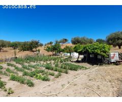 ESTUPENDA FINCA EN SAN VICENTE DE ALCANTARA