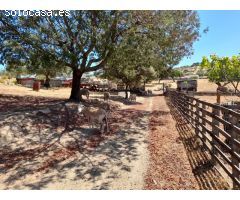 ESTUPENDA FINCA EN SAN VICENTE DE ALCANTARA