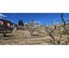 SE VENDE NAVE EN LA LLOSA DE RANES