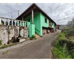 Todo verde a mi alrededor en Villaviciosa
