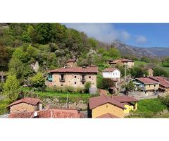 La casa de Proacina