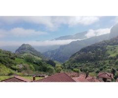 La casa de Proacina
