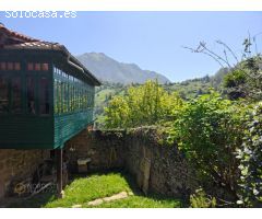 La casa de Proacina