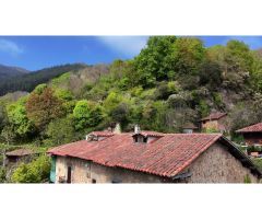 La casa de Proacina