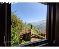 La casa de Proacina