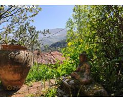 La casa de Proacina