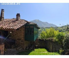 La casa de Proacina