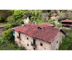 La casa de Proacina