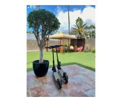 Se alquila coqueto bungalow en Maspalomas