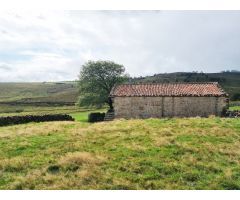 Cabaña con terreno en cerca de Cabañas de Virtus