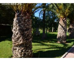 Villa de súper lujo en el residencial exclusivo en Elche