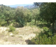 Oportunidad de Inversión en el Paraíso Natural de Masis de Cadiretes