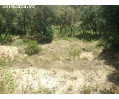 Oportunidad de Inversión en el Paraíso Natural de Masis de Cadiretes