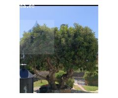 Chalet individual con piscina privada