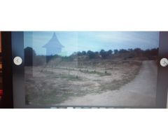 Finca Rústica en Vinebre