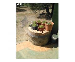 Finca Rustica en MontBrio del Camp