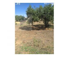 Finca Rustica en MontBrio del Camp