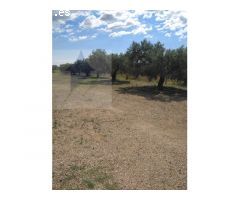 Finca Rustica en MontBrio del Camp